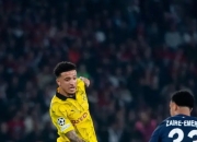 开云体育在线-包含马德里竞技淘汰多特蒙德，力夺欧冠四强的词条