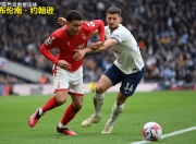 开云体育在线-包含纽卡斯尔零封保平，保级生存步步为营的词条