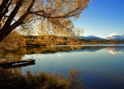 开云体育入口-浓眉末节接管比赛，掘金逆转独行侠，一场意志与战术的胜利