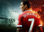 开云体育平台APP-北境孤星扛起千钧重担，猛龙硬仗力克深圳展冠军底蕴