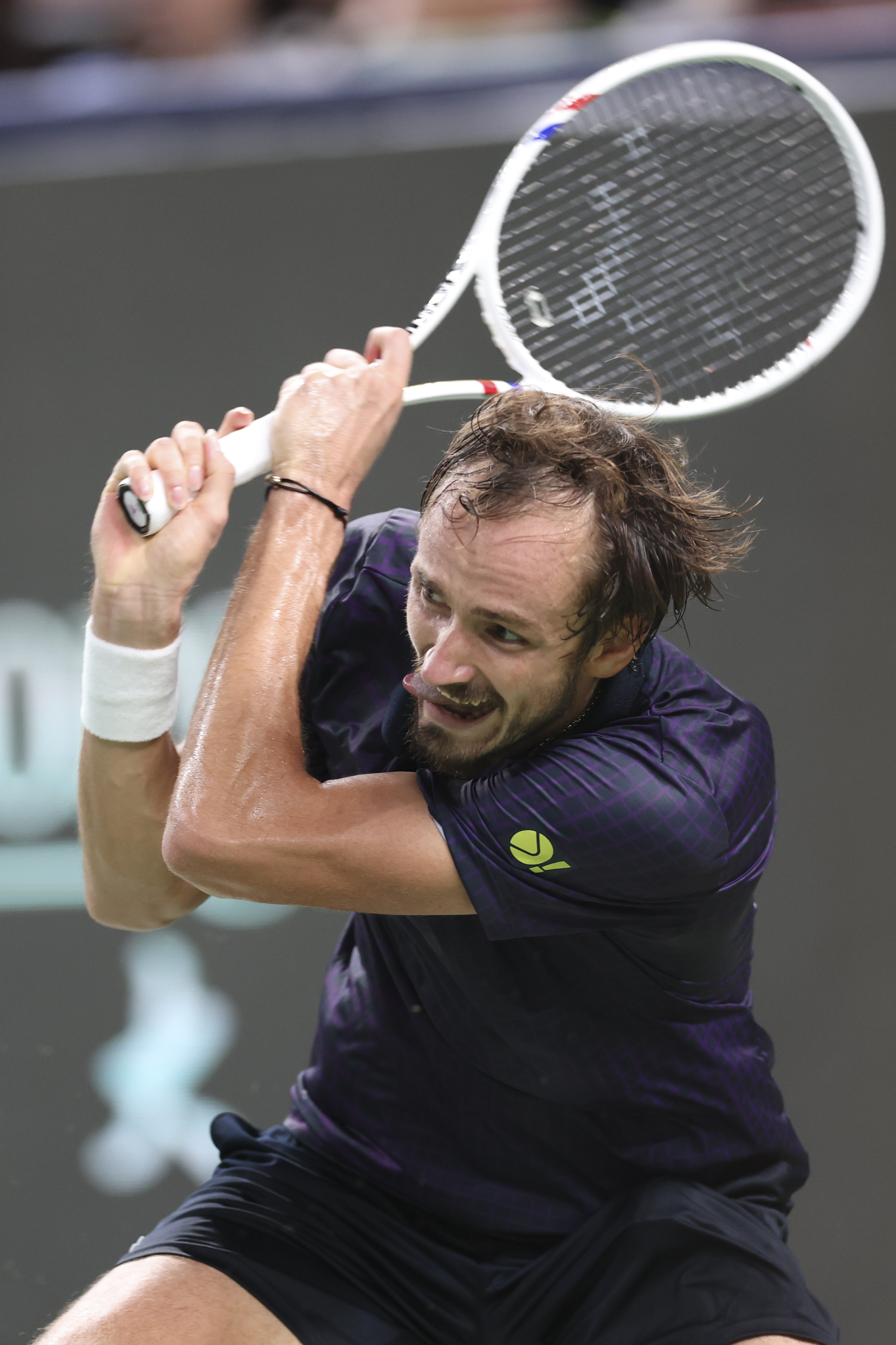 关于西班牙网球队血洗德国网球队，梅德韦杰夫制霸全场的信息