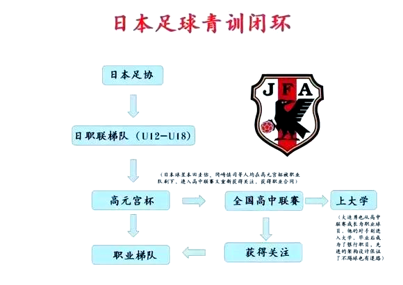 足球青训计划推动年轻球员技术水平提升的简单介绍