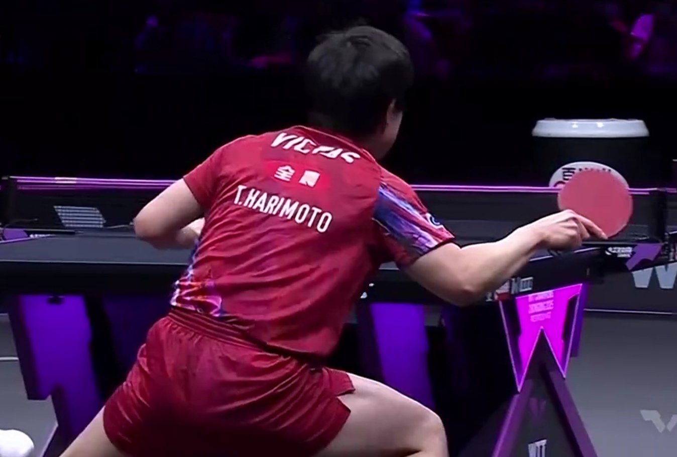 德国乒乓球队血洗奥地利乒乓球队,张本智和爆发神勇的简单介绍 德国乒乓球队血洗奥地利乒乓球队,张本智和爆发神勇的简单介绍