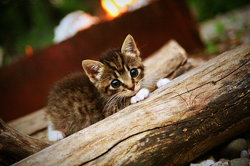 拉什福德关键回合不手软,亚特兰大单节拉开克罗地亚